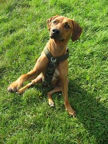 Mit Susi am See im August 07