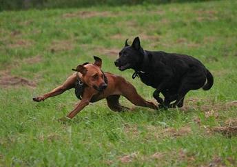Mit Igor am See im August 07