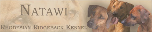 Rhodesian Ridgeback Kennel NATAWI